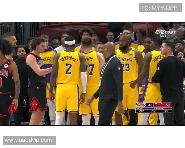 2019年1月16日湖人与公牛精彩对决录像回放全程回顾与分析